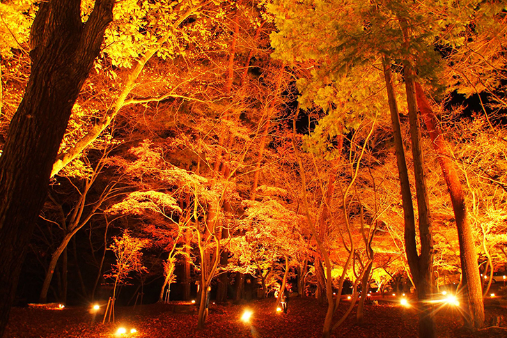 月の石もみじ公園