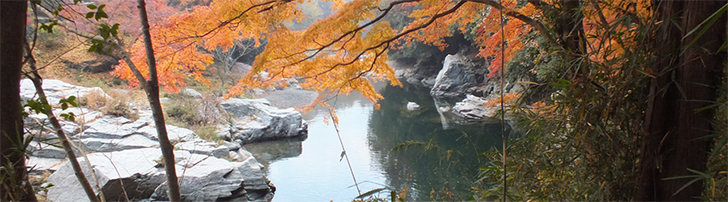 出典: 嵐山渓谷月川荘キャンプ場