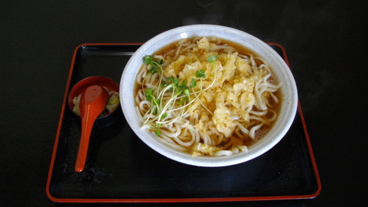 古都_たぬきうどん