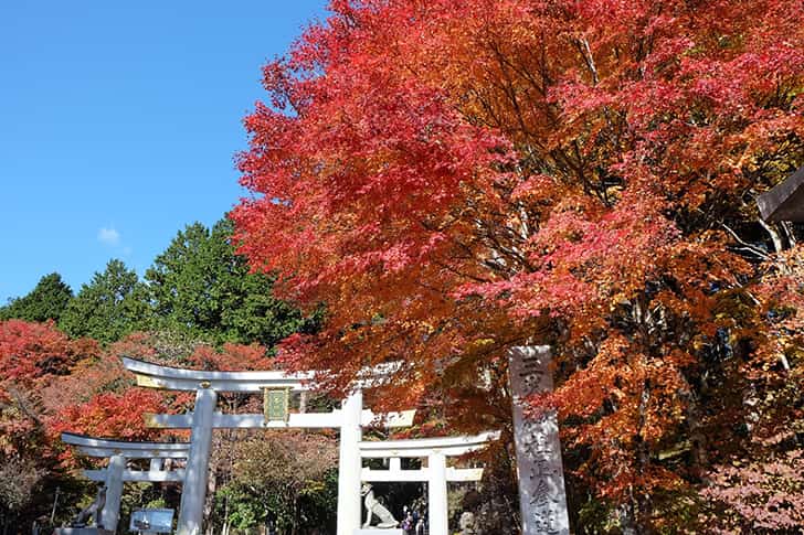 三峯神社