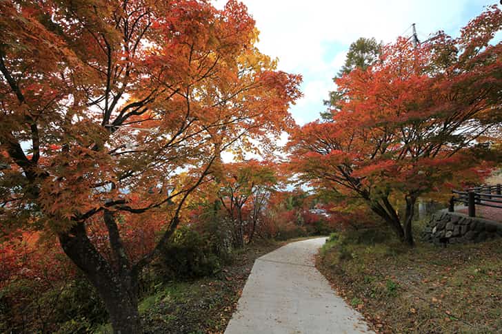 三峯神社
