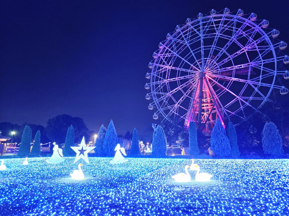 東武動物公園_イルミネーション（提供：東武動物公園）