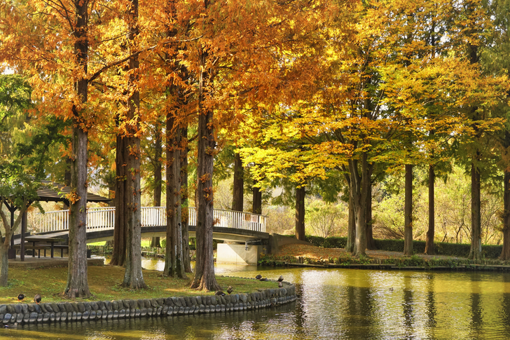 上尾_円山公園
