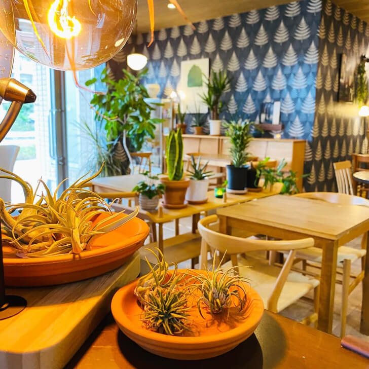 カフェ ウォルナットの店内（出典：cafe walnut Instagram）
