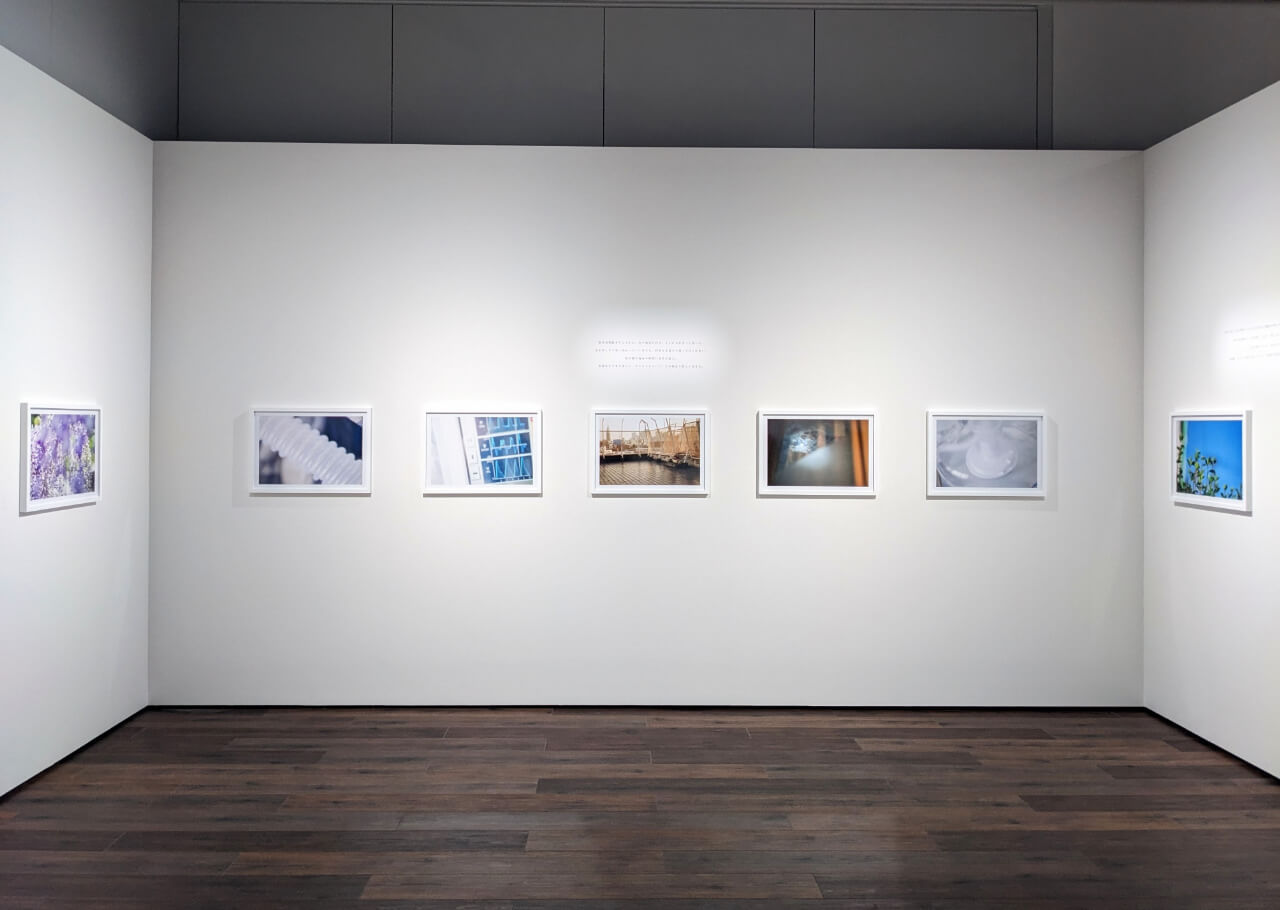 「蜷川実花展　はじまりの光」の写真展示
