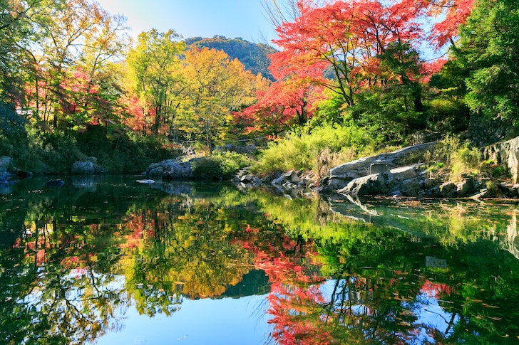 紅葉が広がる嵐山渓谷の風景