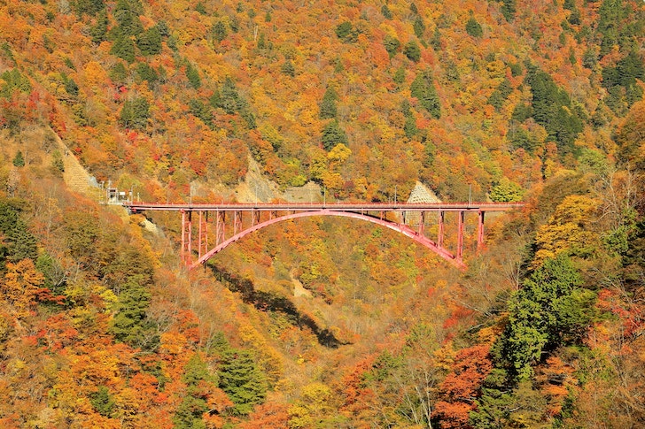 紅葉が広がる滝川渓谷の風景