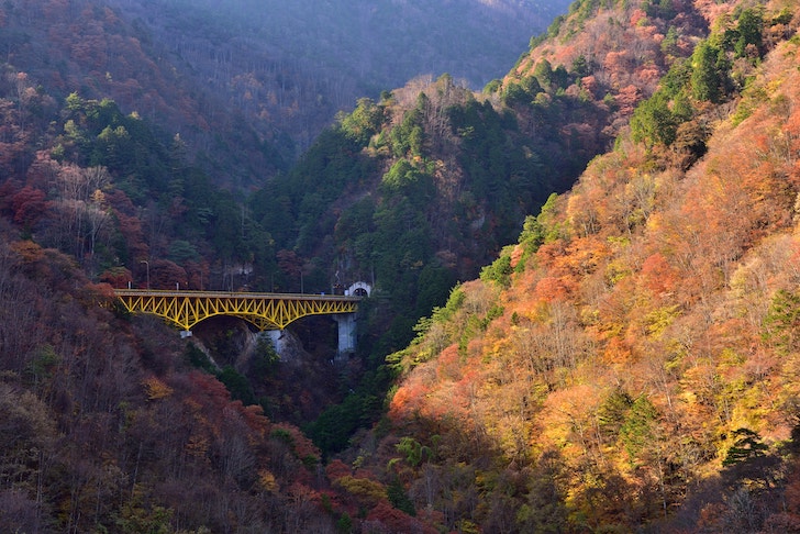 紅葉が広がる滝川渓谷の風景