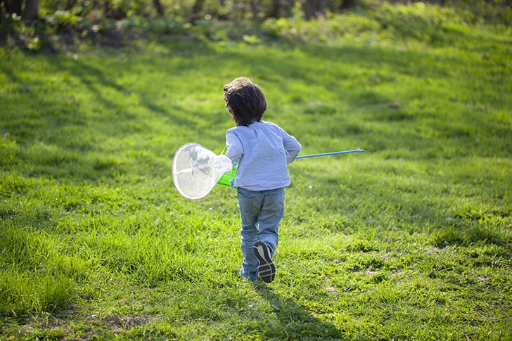 虫取り網と虫かごを持って散策している子供の様子