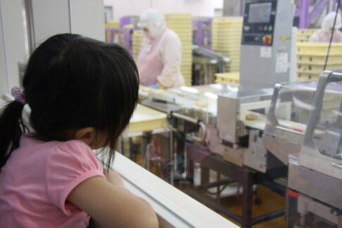 お菓子の製造ラインを見学する女の子