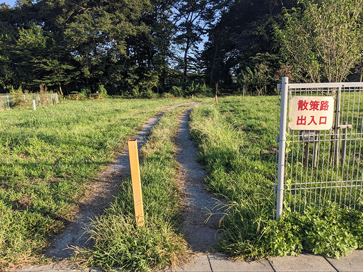 鶴ヶ島グリーンパークの自然散策エリア出入口付近