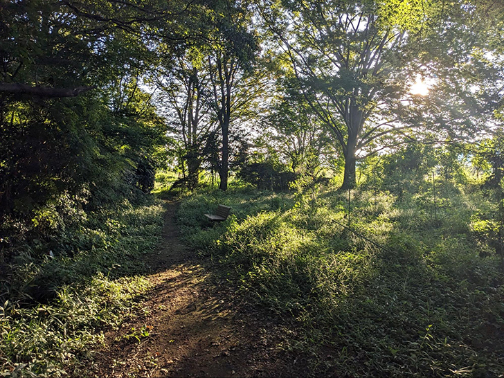 鶴ヶ島グリーンパーク「太田ヶ谷の森」の風景