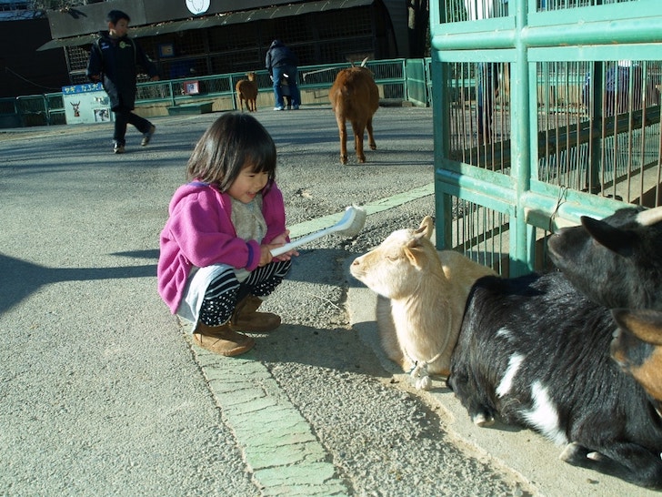 出典：埼玉県こども動物自然公園