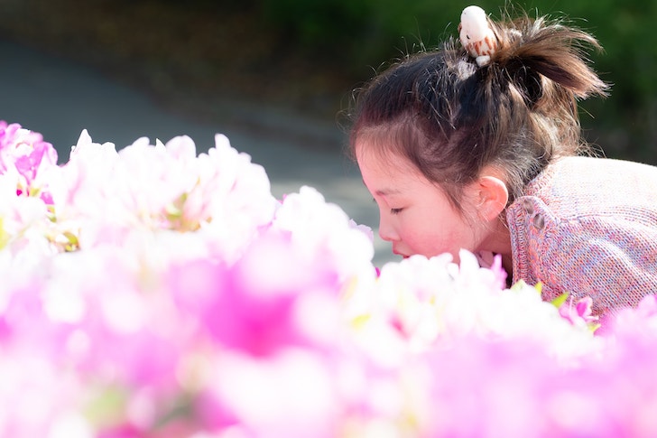 花の香りを嗅ぐ少女（出典：pixta.jp）
