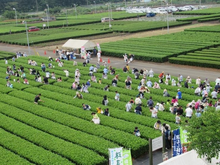 出典：埼玉県庁