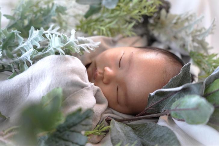 植物に囲まれて眠る赤ちゃん