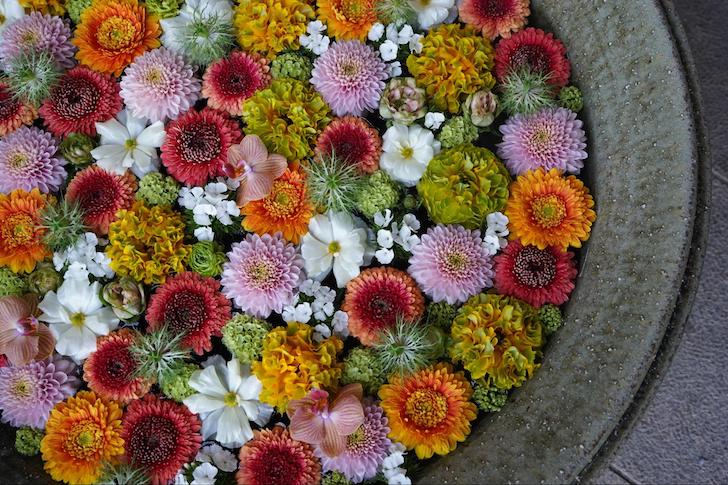 行田花手水weekの花手水