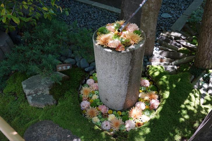 行田八幡神社の花手水