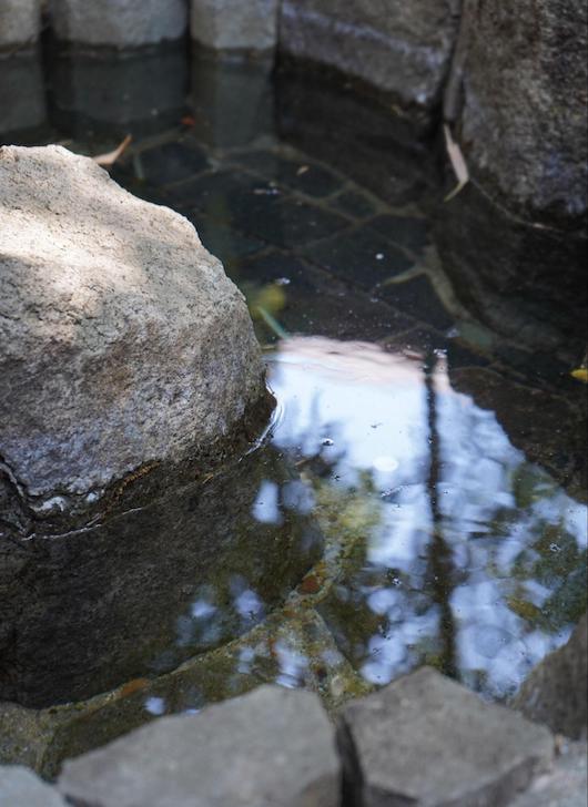 行田八幡神社の鏡池