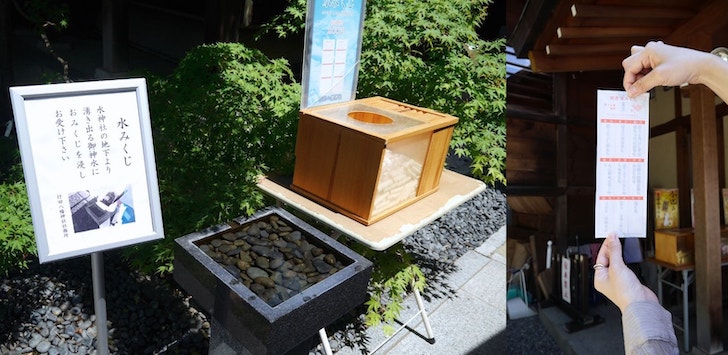 行田八幡神社の水みくじ