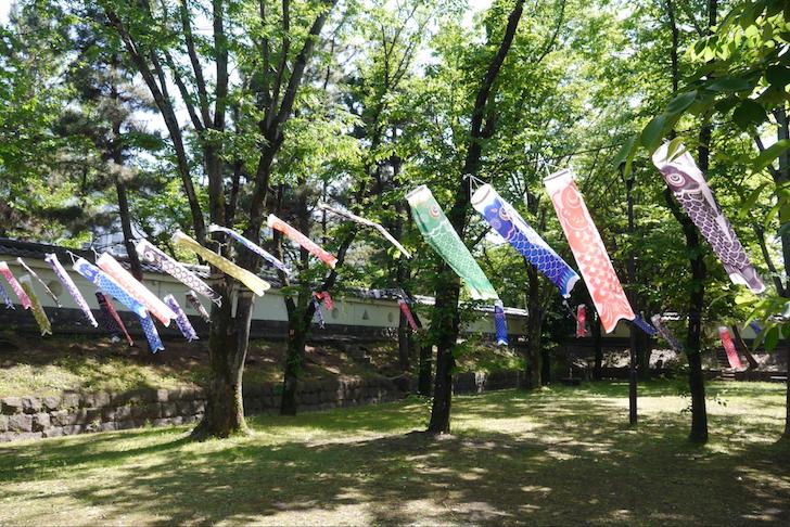 城址公園の鯉のぼり