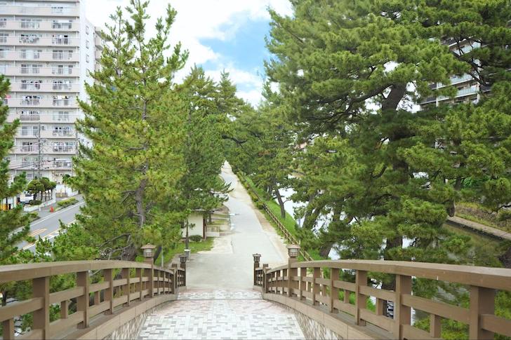 橋の上から来た道を振り返った風景