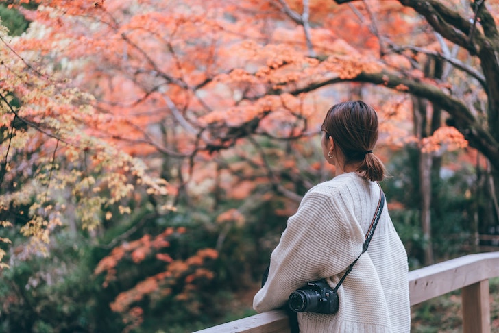 紅葉を眺める女性（出典：pixta.jp）