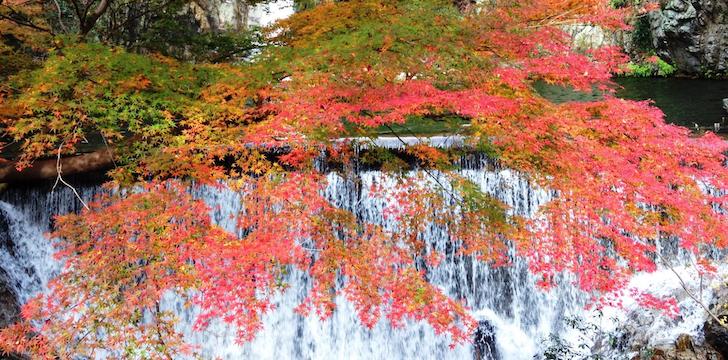 秩父の滝と紅葉