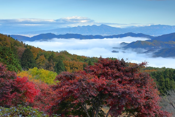 美の山公園眼下の雲海と日の出朝焼け（出典：pixta.jp）