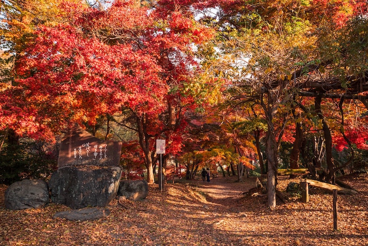 月の石もみじ公園の紅葉（出典：pixta.jp）