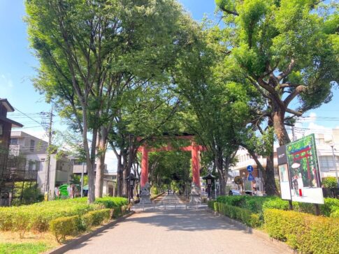 氷川参道の風景