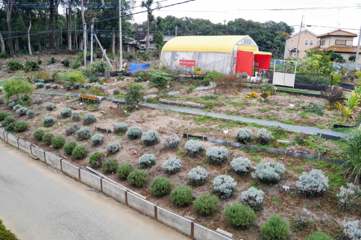 敷地内のハーブ園