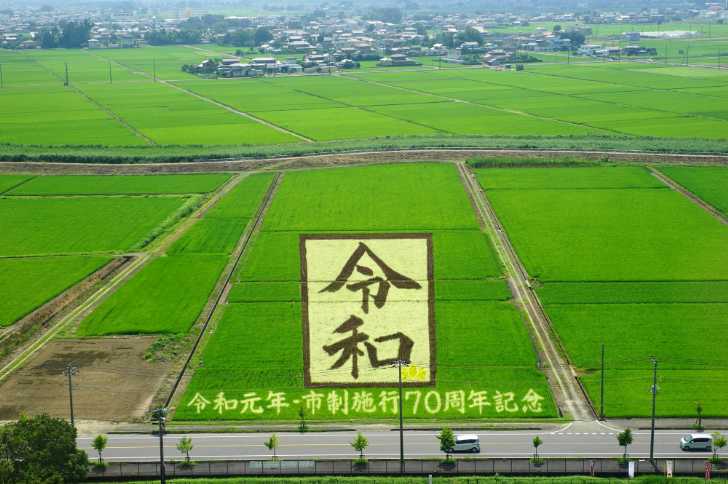 行田　田んぼアート