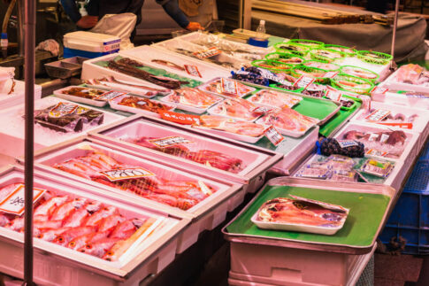 市場に並ぶ新鮮な魚介（出典：pixta.jp）