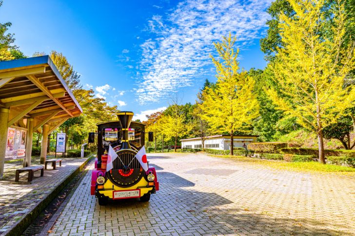 秩父ミューズパークのイチョウ並木