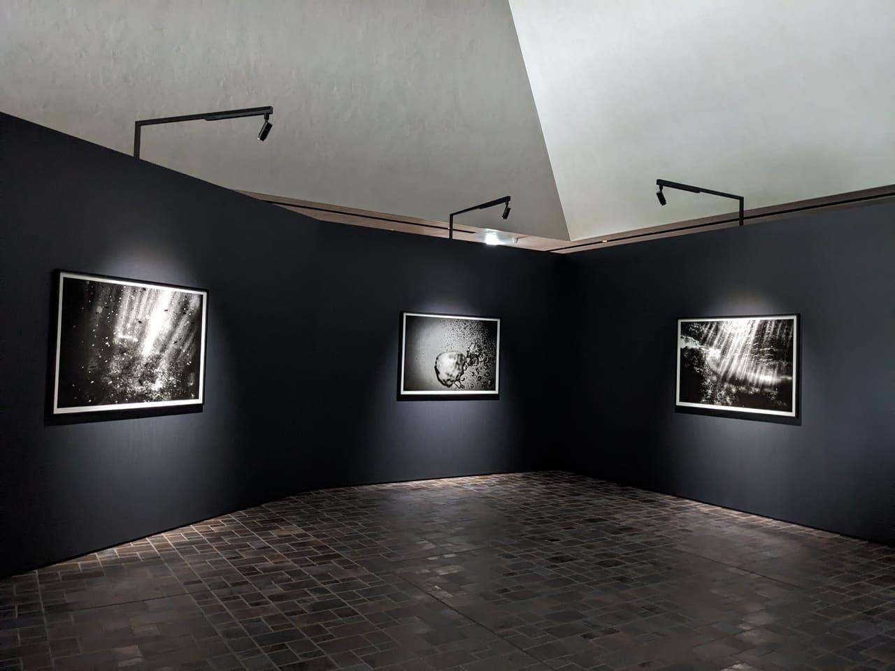 川口市立美術館_蜷川実花展_海の写真
