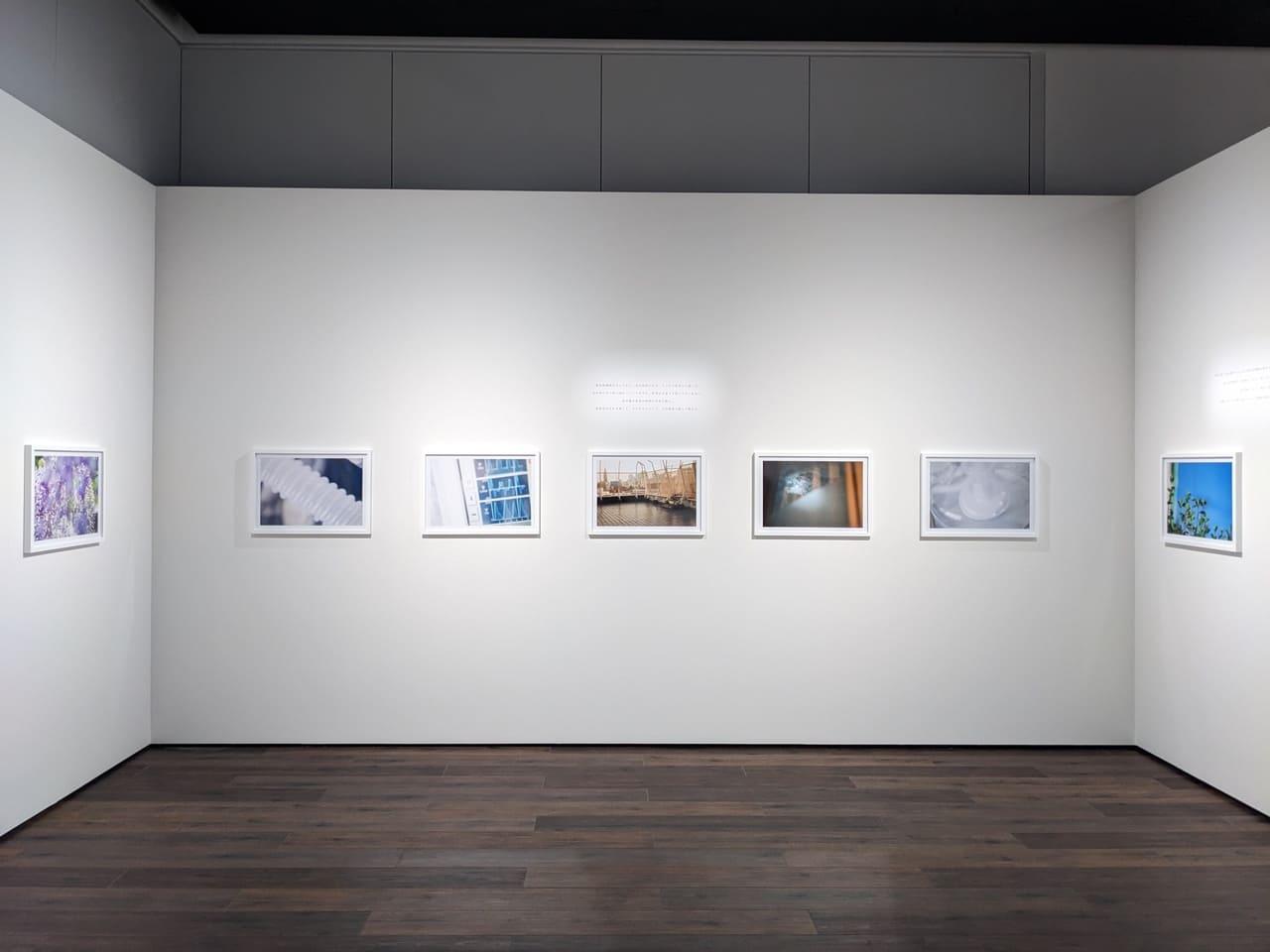 川口市立美術館_蜷川実花展_写真
