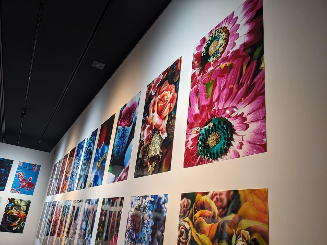 川口市立美術館_蜷川実花展_花