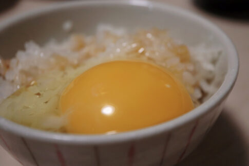 卵かけご飯の黄身アップ（出典：pixta.jp）